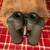 Orion MEGA View Binoculars . 15x80 2 thumbnail