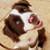 Paws2Paws, Pet Sitting Services 3 thumbnail