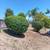 Ramirez green landscaping maintenance 10 thumbnail