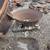 Steel Firepit 4 thumbnail