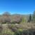 Private 10ac View Property! Gated and Multiple Building Sites! 13 thumbnail