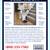 Local Stores, Service, Delivery & Set-Up 1 thumbnail