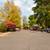 2 bedroom with 1 bathroom! Only $1,410.00 7 thumbnail
