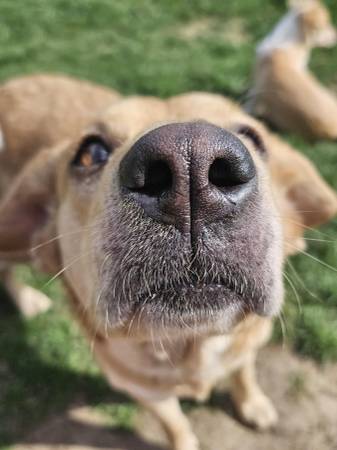 Alfie (Seattle)63684471427329122