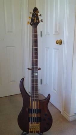 PEAVEY CIRRUS 5 STRING BASS 1
