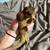 Leachie Gecko 4 thumbnail