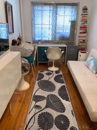 $950 / 250ft2 - 2 WEEKS SEPT. 16 - OCT. 2 (Lower East Side)63684762952577120