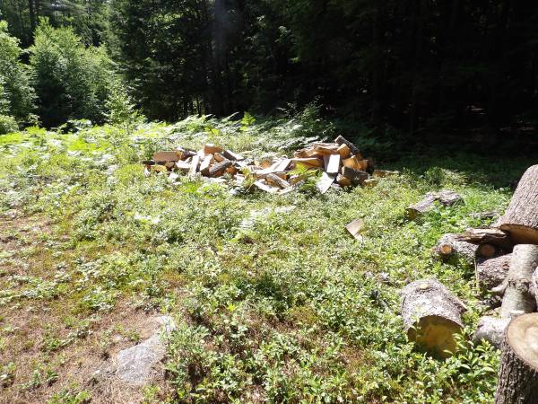 FIREWOOD Over  "10 cord " 500.00  pine and hemlock.Bring a box truck - $500 (auburn   est.50.00 a cord)62946978566403123