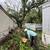 DIVINO LANDSCAPING AND TREE SERVICES 6 thumbnail