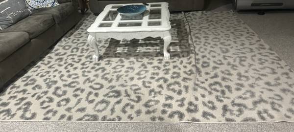 Carpet 9 ft x 12 ft 1