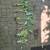 Hostas 4 thumbnail