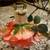 Wedding Decor includes Giant Grapevine Wreath W/Roses & Fairy Lights 10 thumbnail