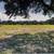 North West of Austin Area Horse Boarding 2 thumbnail