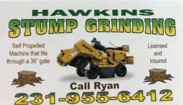 Stump grinding 1