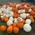 PUMPKINS CHEAP 1 for 35 2 for 60 4 thumbnail