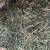 Alfalfa third cut 10 thumbnail