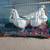 Pigeons 1 thumbnail