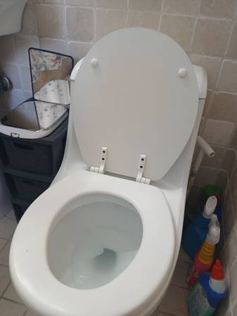 House cleaning 1