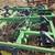 Disk Chisel - John Deere 714 5 thumbnail