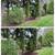🌷🍁🌱Mow, Aerate, Weeding,Mulch, Clean up and removal 7 thumbnail