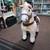 Rding Pony, Pump & Ride, Like New Condition 2 thumbnail