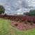 Tree work/install pavers 9 thumbnail