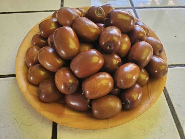 Organic Super Sized Jujube Dates 1