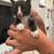free kittens 1 thumbnail