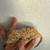 Crested geckos 2 thumbnail