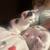Kitten 2 thumbnail