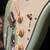 2019 Fender Ltd. Edition Stratocaster - Like New! 4 thumbnail