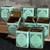 Assorted Ceramic, plastic and Terracotta Pots 4 thumbnail