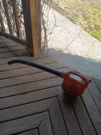 Homelite Blower 1