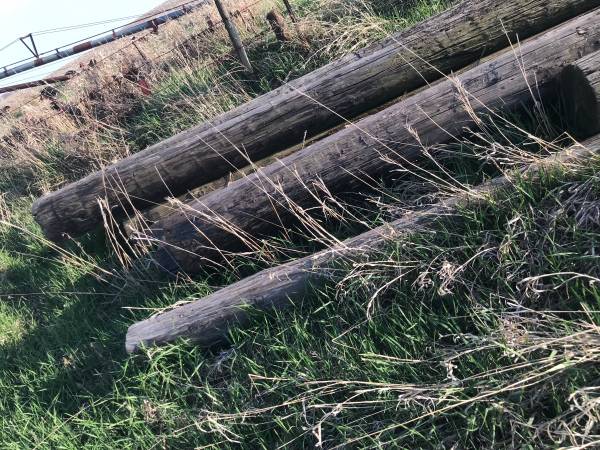Poles 1