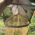 Beekeeping: Winter Bee Cozy Wrap, 2 Veils and 1 Small Gloves 2 thumbnail