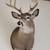 Deer Heads 3 thumbnail