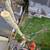 Skylight Tree Services 2 thumbnail