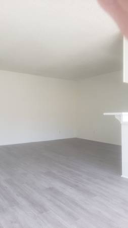 $1,695 / 1br - 650ft2 - Lovely & Spacious 1+1, Laminate, Stainless-Steel Appliances, Parking (501 South Manhattan Place, Los Angels, CA)63701073654017123
