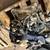 ★ 2007 - 2011 Toyota Camry - AUTOMATIC TRANSMISSION - #F33555 ★ 2 thumbnail