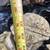 Veterans concrete statue 5 thumbnail