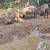 Pigs 2 thumbnail