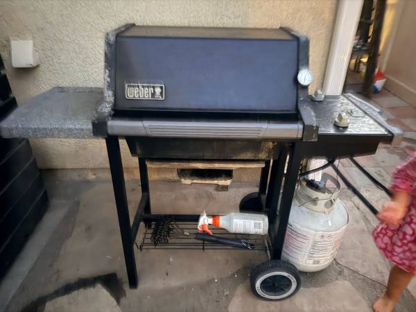 FREE Weber 1