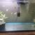 Fish!! 1 thumbnail