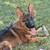 Home security system 1 thumbnail