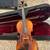 Violin 2 thumbnail