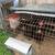Serama chickens 4 thumbnail