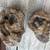 Fossil and Rock Collection 19 thumbnail