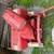 Gravely snow blower quick hitch for walk behind 2 thumbnail