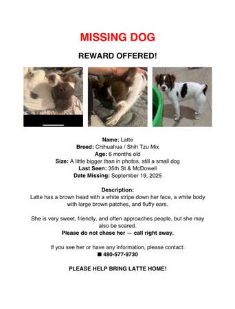 Missing pet (35th st and McDowell)63967425840130120
