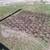7 ft Chain Harrow Pasture Drag 4 thumbnail